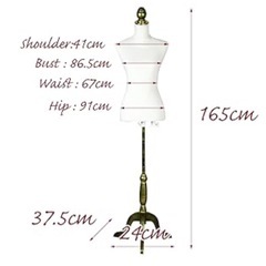 トルソー マネキン（高さ調整可 / レディース） の画像