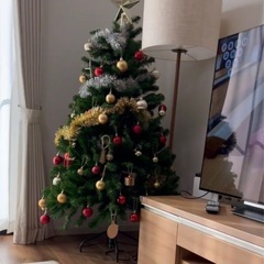 クリスマスツリーの画像