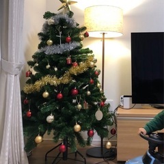 クリスマスツリーの画像