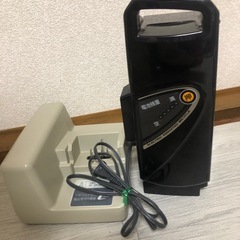 充電器とバッテリー13.2AHの画像