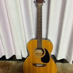 タカミネギターの画像