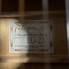 タカミネギターの画像