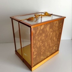 ガラスショーケース　木枠　金屏風　高さ約33×横32cm　ディスプレイケースの画像