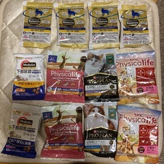 猫用品まとめての画像