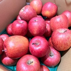 お譲り先決定！青森県産りんご28個ほど の画像