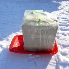 【引渡し12/14まで】伸和 子供用そり スノーボード（赤）の画像