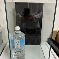 水槽の画像