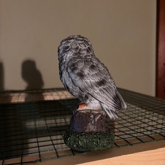 フクロウの置物の画像