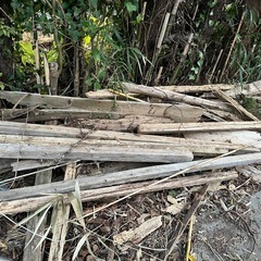 切った木の画像