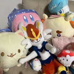 ぬいぐるみの画像