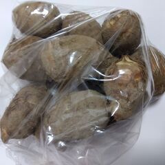 里芋1ｋｇの画像