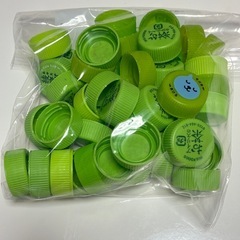 🥛🐒ペットボトルのキャップ（12月21日まで）の画像