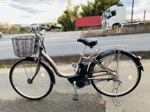 ショップ ぴょんこ•ぽんこさん専用富貴蘭 穂波獅子黄縞