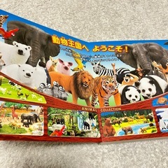 なるほど！動物コレクション　動物　図鑑の画像