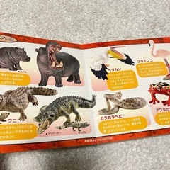 なるほど！動物コレクション　動物　図鑑の画像