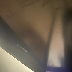 【早い者勝ちにさせて頂きます】 ダイニングテーブルの画像