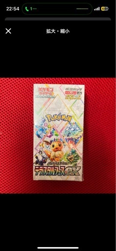 テラスタルフェス　シュリ付き
