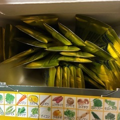 ✨金の青汁✨の画像