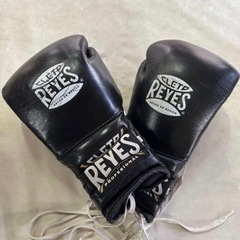 Reyes レイジェス　レイエス　ボクシンググローブ　14ozの画像