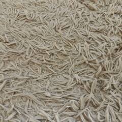 カーペット　ラグ　フワフワ (200 x 250cm)の画像