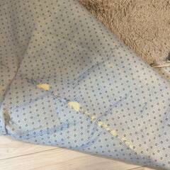 カーペット　ラグ　フワフワ (200 x 250cm)の画像