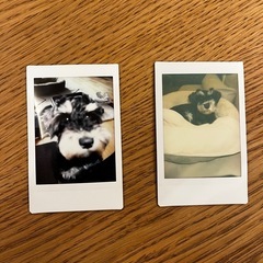 チェキ　instax　mini40 の画像