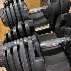 【受け渡し予定者あり】可変式ダンベル　40kg×2の画像