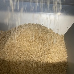 【数量限定】令和7年産きぬむすめ　お米玄米30kg🌾白米でも販売できます🍚の画像