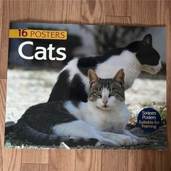 猫 ポスターブック 16枚セット