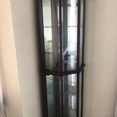 ガラスのショーケースフィギュアなどの画像