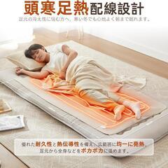 電気毛布 シングル 140×80cm ライトグレー 丸洗い ダニ退治の画像