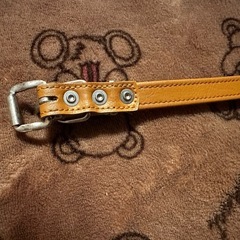 犬雅 唐草平首輪 赤の画像