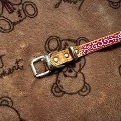 犬雅 唐草平首輪 赤の画像