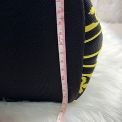 カステルバジャックの画像