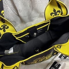 カステルバジャックの画像