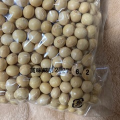 熊本県産　大豆　フクユタカ　1kg 在庫2の画像