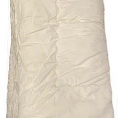 ニトリ　抗菌　防臭　ダブル　掛け布団の画像