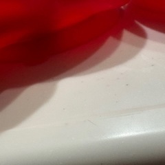 子供用食器の画像