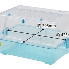 ルーミィ ブルーの画像