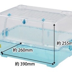 ルーミィ ブルーの画像