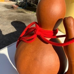 ひようたんの画像