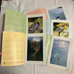 A5アニマルカレンダーノート　5点の画像