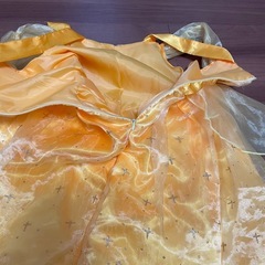 ベル　美女と野獣　ドレス　ティアラの画像