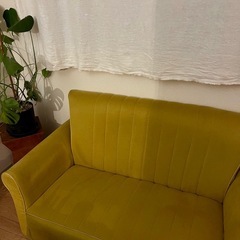 マスタードイエロー　2人掛けソファ
の画像
