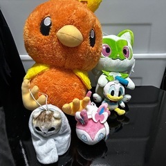 ポケモン等ぬいぐるみ(バラ売り可)の画像