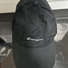 帽子2種類の画像