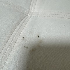 ソファー　の画像