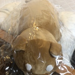 柴犬抱き枕🤗🤗🤗の画像