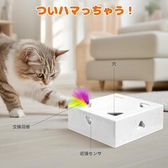 商談中　
キャットボックス　猫じゃらし 電動 おもちゃ 一人遊びの画像