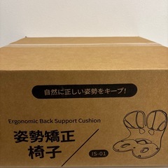 姿勢矯正 椅子 骨盤矯正 姿勢サポートチェア 座椅子 腰が痛くならないの画像